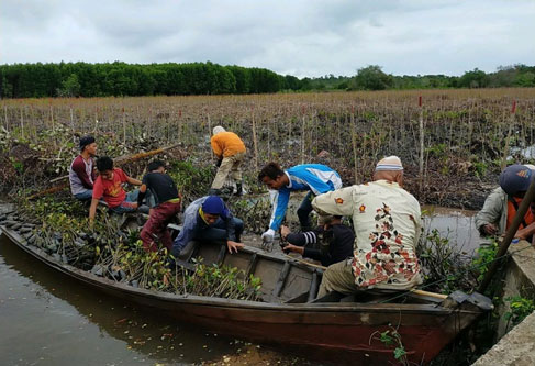 Padat Karya Mangrove KLHK di Bengkalis Libatkan Empat Kelompok Tani
