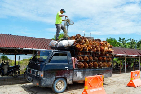 Riau Masih Menduduki Peringkat ke-1 Provinsi dengan NTP tertinggi