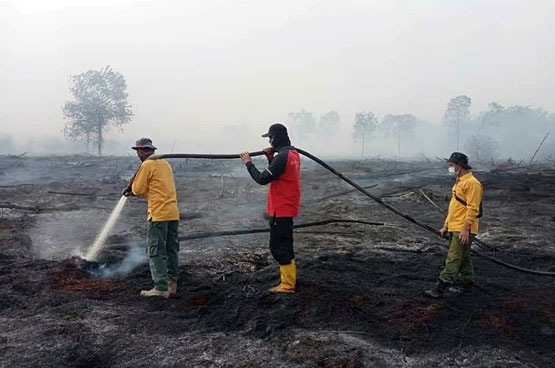 Luas Lahan Terbakar di Riau 248 Hektar, Kepala BPBD: Petugas Terus Berjibaku