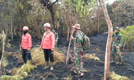 Diguyur Hujan Semalaman, Karhutla di Kabupaten Bengkalis Padam