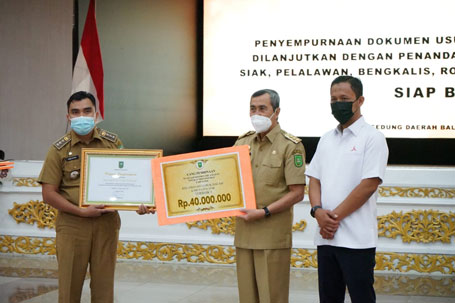 Raih Penghargaan Kecamatan Terbaik 2020, Camat Lubuk Dalam Sampaikan Inovasinya