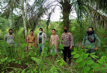 Masih Misterius, Nenek di Pelalawan Diisukan Meninggal Diserang Harimau