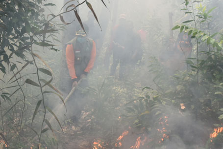Memasuki Maret 2021, Karhutla di Kabupaten Bengkalis Capai 120 Hektar