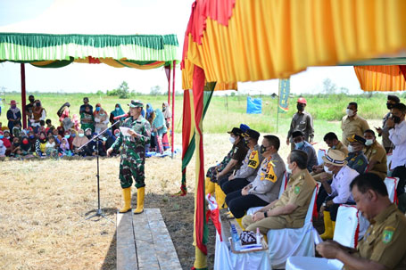 Danrem 031/WB Sebut Tanaman Padi di Rohil Tanpa Gunakan Pupuk Kimia