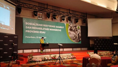 Gubri Harap BRGM Atasi Problem Gambut dan Mangrove