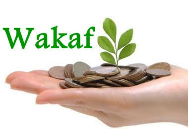 Potensi Wakaf Uang di Kalangan Milenial Riau Sangat Besar