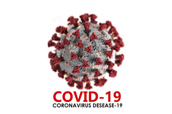 Update COVID-19 Riau: 305 Pasien Sembuh, 223 Kasus Baru, 6 Meninggal Dunia