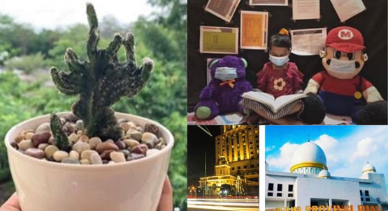 Juara Lomba Fotografi Mahasiswa UIN Suska Riau Diumumkan, Berikut Pemenangnya