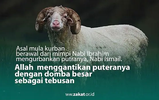 Sejarah Kurban dan 5 Alasan Berkurban Penting untuk Umat Islam