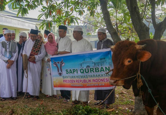 Masjid Raya Annur Riau Tahun Ini Sembelih 20 Hewan Kurban