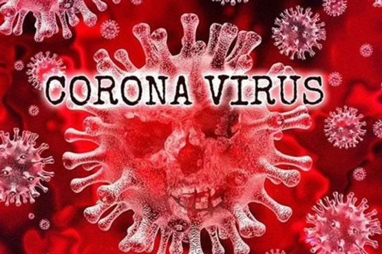 COVID-19 Riau Meroket Tembus 2.096 Kasus, Ini Penjelasan Diskes