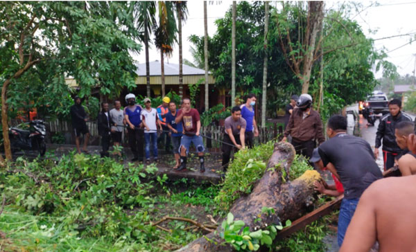 Pohon Tumbang dan Fasilitas Rusak Akibat Angin Kecang dan Hujan Badai Guyur Meranti, Riau