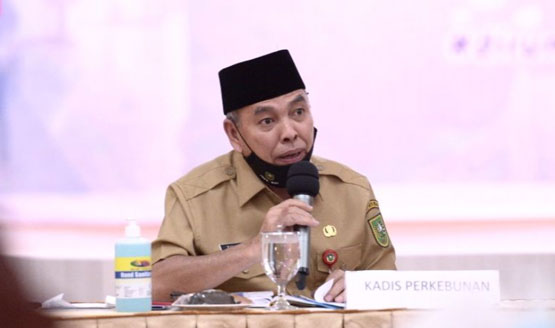 Disbun Riau Dapat Kucuran DAK APBN 2021 Sebesar Rp2,9 Miliar