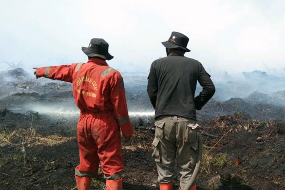 Kebakaran di Rohil Meluas, Tim Satgas Karhutla Terus Berjibaku