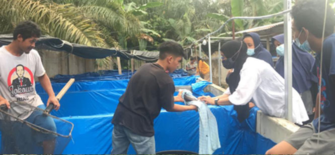 Tim Pengabdian dan Kukerta Unri Terapkan Teknologi Pembenihan Lele Mutiara