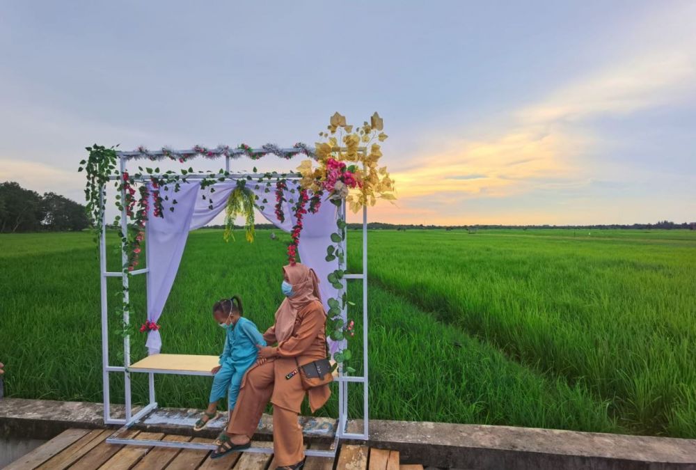 Agrowisata Mentayan Bengkalis, Sajikan 240 hektar Lanskap Persawahan