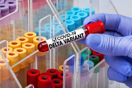 Waspada! Varian Delta Paling Banyak Ditemukan di Indonesia