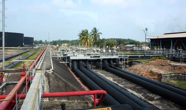 Dirjen Migas Minta Pemprov Riau Gesa Pengurusan PI 10 Persen Blok Rokan