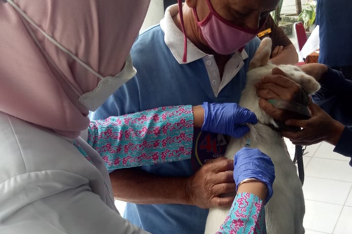 Dinas PKH Riau Buka Layanan Vaksin Rabies Hewan Peliharaan Gratis, Ini Jadwalnya