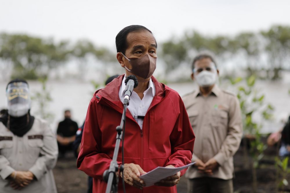 Presiden: Rehabilitas Mangrove Akan Terus Kita Lakukan