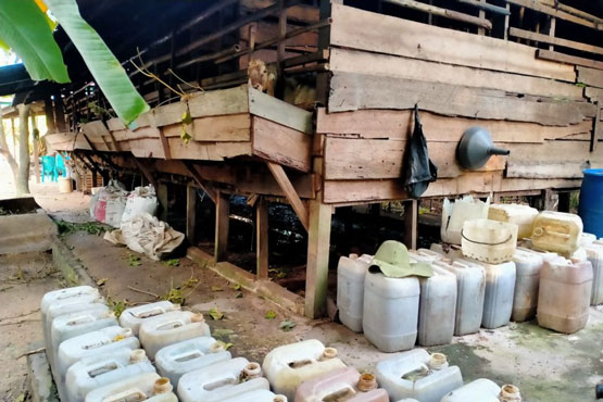 Pupuk Kimia Mahal, Ayo Manfaatkan Kotoran Kambing Untuk Perawatan Sawit