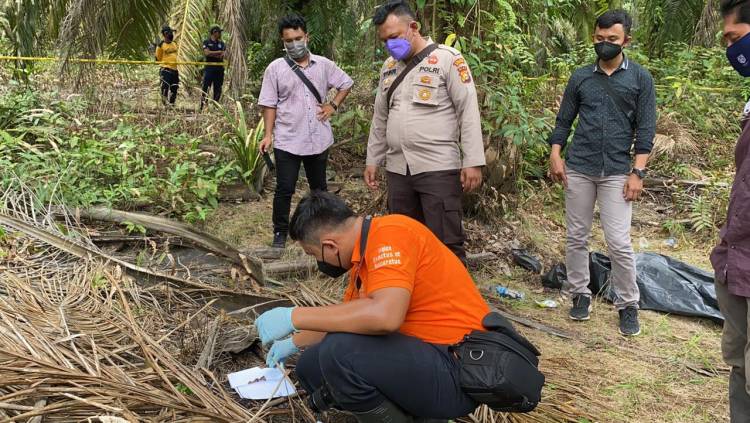 3 Hari Menghilang, Bocah 13 Tahun di Inhu Ditemukan Tewas Membusuk di Kebun Sawit Dengan Kepala Terpisah