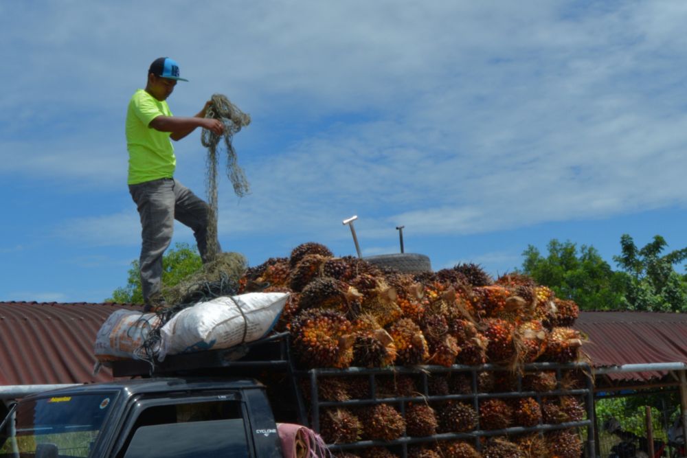 Pemerintah Beberkan Realisasi APBN Pemulihan Ekonomi Nasional Berjalan Baik
