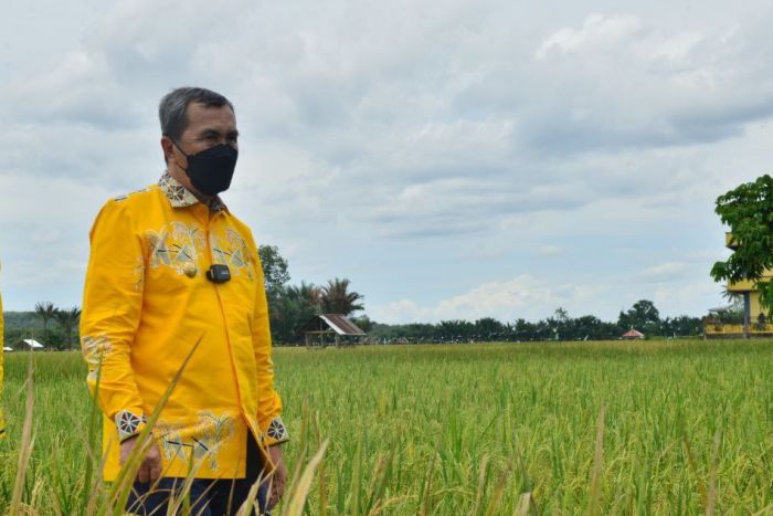 Gubri Ajak Petani Kuansing Tingkatkan Produksi Pangan, Ini Bantuan Yang Diberikan