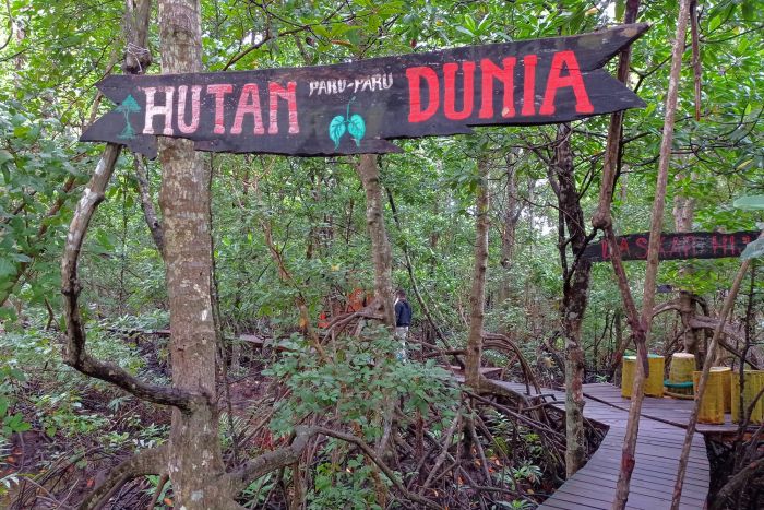 Besok Gubernur Riau Serahkan Tiga Kategori Penghargaan Peduli Lingkungan