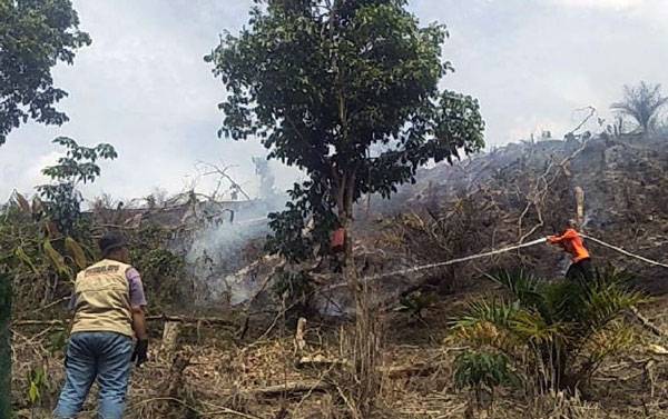 Kebakaran Lahan di Rantau Berangin, Satu Unit Helly Dikerahkan ke Lokasi