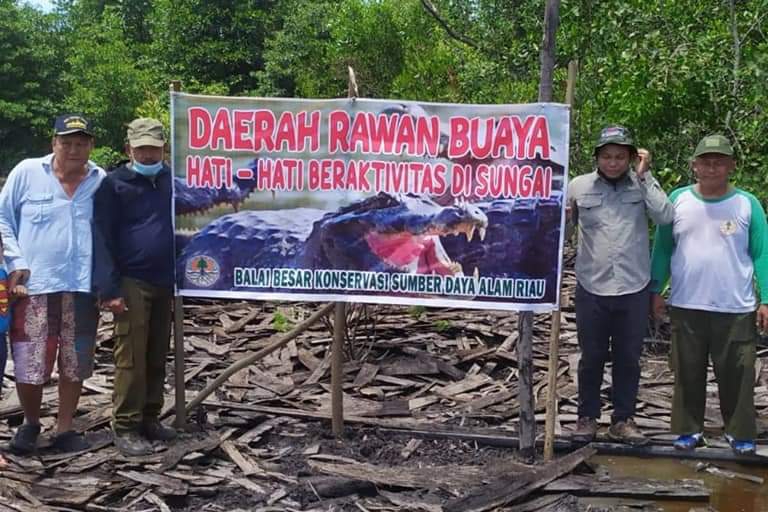 Pekerja Kilang Sagu Diserang Buaya Muara, Hati-hati ini Lokasinya