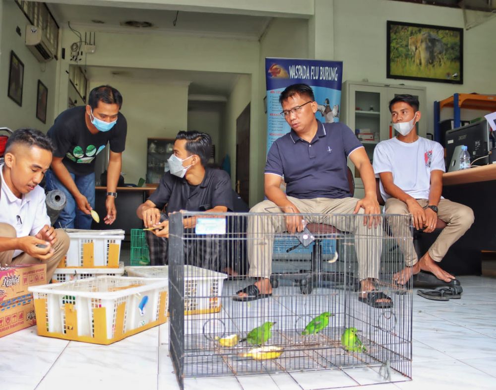 BBKSDA Riau Gagalkan Perdagangan Burung Jenis Cica Dilindungi