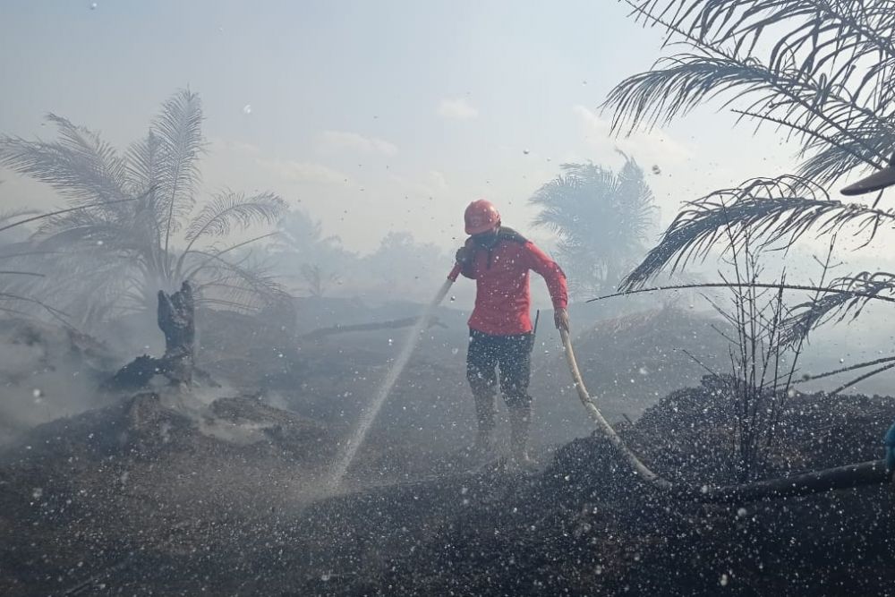 Begini Kisah Manggala Agni Daops Pekanbaru Berjibaku Padamkan Karhutla