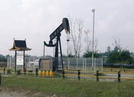 Kejar Penetapan PI Blok Siak, Pemprov Riau Minta Dukungan SKK Migas