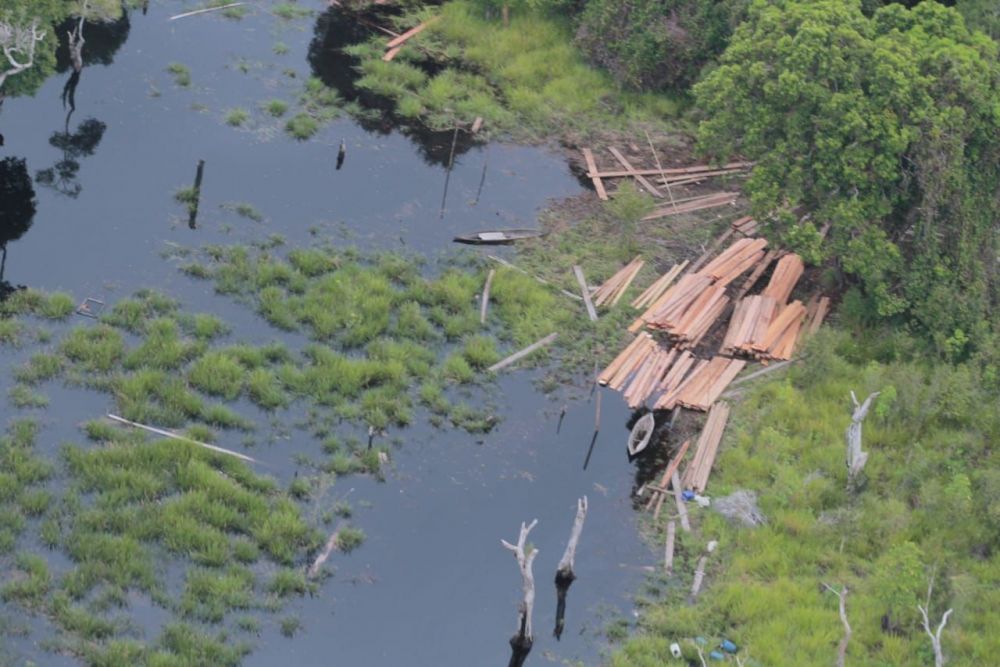 DLHK Riau Dukung Polda Riau Berantas Ilegal Logging