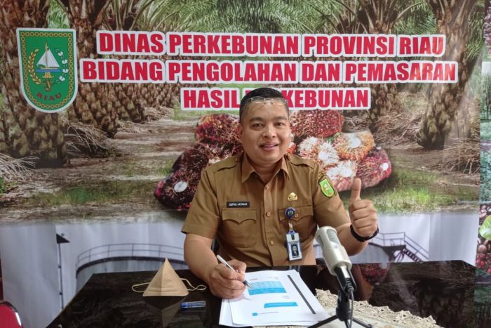 Harga Bokar Pekan ini turun Rp200 per Kg, Tapi Sabar Nanti Bakal Naik Lagi