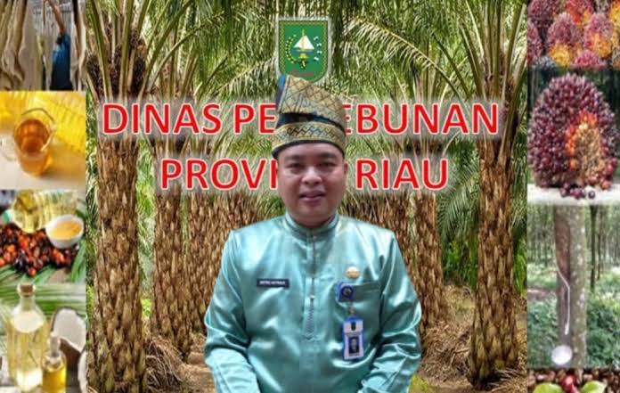 Harga Bokar Pabrik Naik Rp200 per Kg