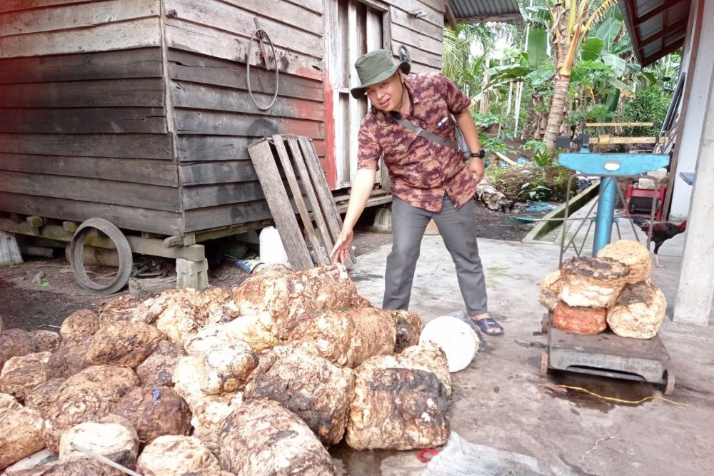Harga Bahan Olahan Karet di Riau Pekan ini