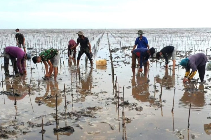 Bukti Bengkalis Jadi Lokasi Prioritas PKPRM Mangrove