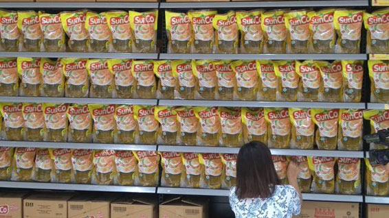 3 Juta Hektare Kebun Sawit di Sumut, Gubernur Edy: Tak Ada Alasan Minyak Goreng Langka