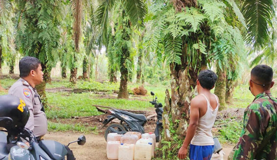 Warga di Kabupaten Rokan Hulu, Riau Mendengar Suara Auman Harimau