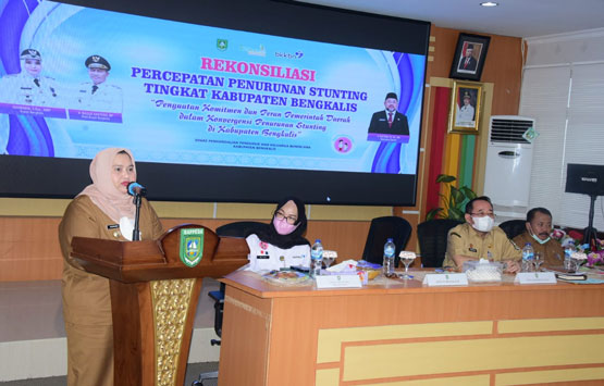 Percepat Penurunan Angka Stunting di Bengkalis, Bupati Kasmarni Libatkan Seluruh Stakeholder