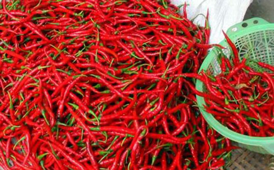 Harga Cabai di Pekanbaru Kian 'Pedas', Tembus Rp85.000 Perkilo