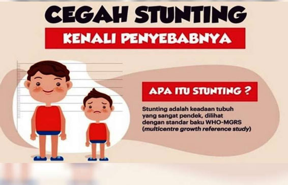 Kukerta Balek Kampung Unri Sosialisasi Masalah Stunting di Kelurahan Tanah Datar