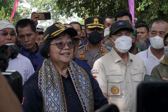 Cegah Abrasi, Gubri Dampingi Menteri LHK Tanam Pohon di Tepian DAS Indragiri