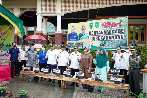 Upaya Kendalikan Inflasi, Gubri Launching Gerakan Tanam Cabai di Inhil