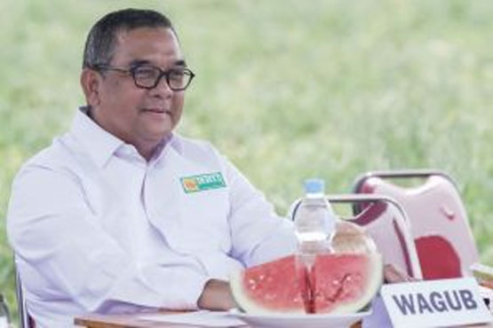 Wagubri: Sektor Pertanian Punya Peran Penting Bangun Perekonomian Daerah