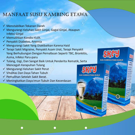 10 Manfaat Super Susu Kambing Etawa bagi Kesehatan