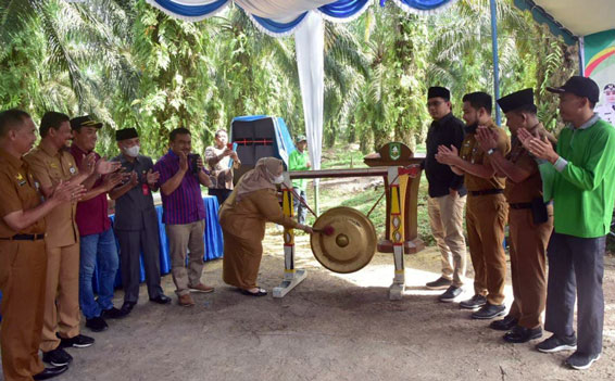 Bupati Bengkalis Canangkan Pemasaran Bahan Olah Karet