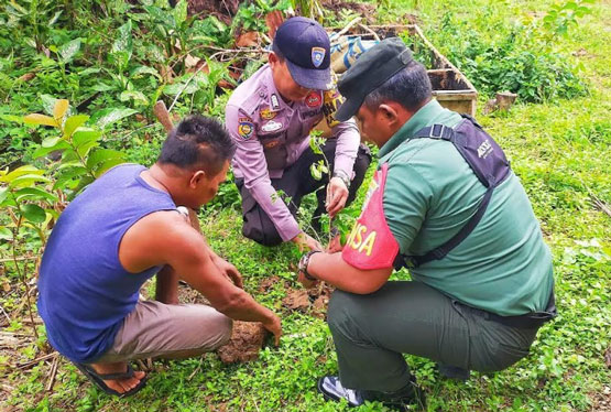 Babinsa TNI di Kabupaten Rokan Hulu, Riau Tanam Pohon